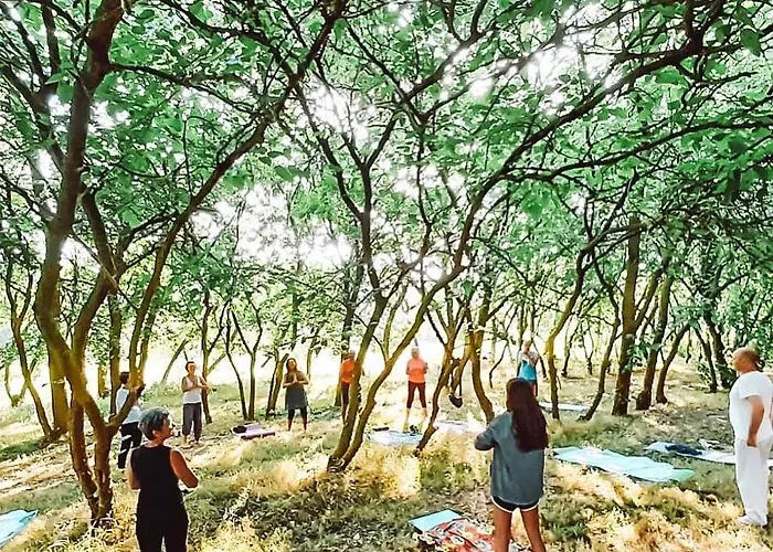 La Sorgente 카메라노