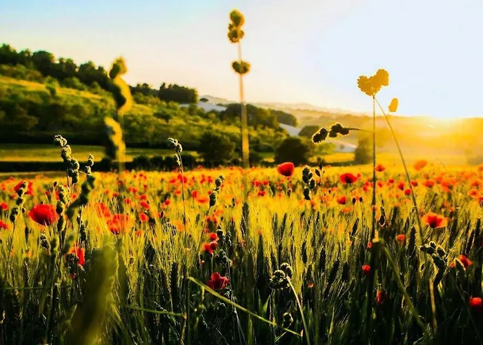 La Sorgente 팜스테이 카메라노