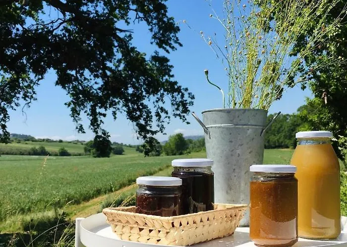 La Sorgente * 카메라노