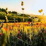 La Sorgente Alojamento de Turismo Rural Camerano