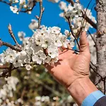 La Sorgente Alojamento de Turismo Rural Camerano