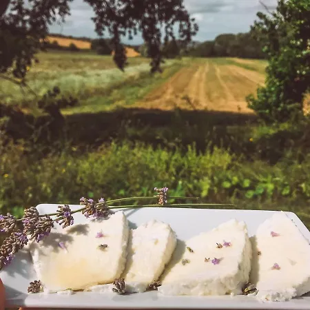 Alloggio per agriturismo La Sorgente Camerano