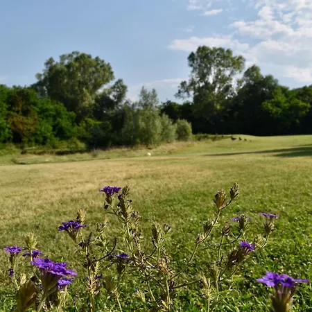 La Sorgente * Camerano