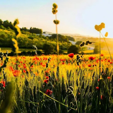 La Sorgente Alloggio per agriturismo Camerano