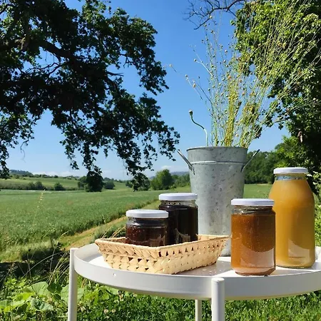 La Sorgente * Camerano