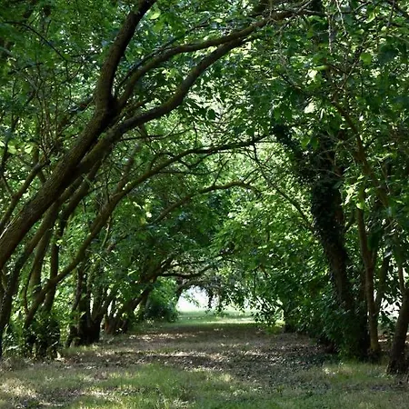 La Sorgente Camerano