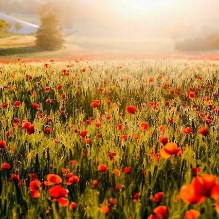 Farma La Sorgente Camerano