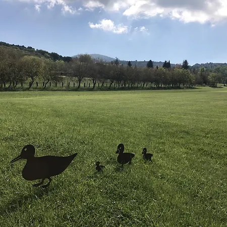 La Sorgente Camerano