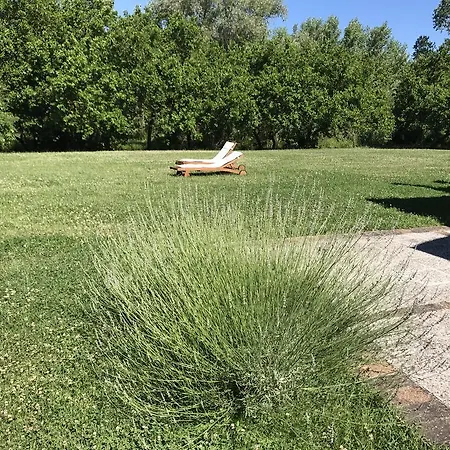 La Sorgente * Camerano