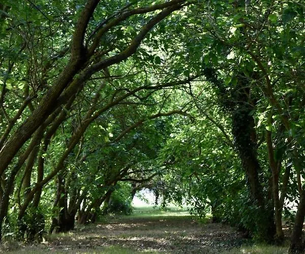 La Sorgente Camerano